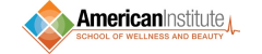 American Institute