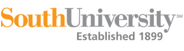 South University Nursing Logo